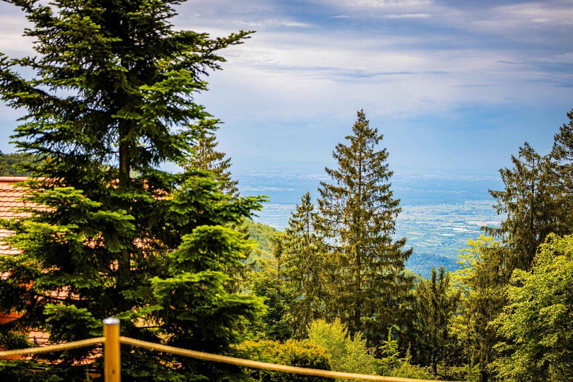 Sonnenhaeusle - Natur. Fernblick. Panorama-Sauna. Sasbachwalden Extérieur photo