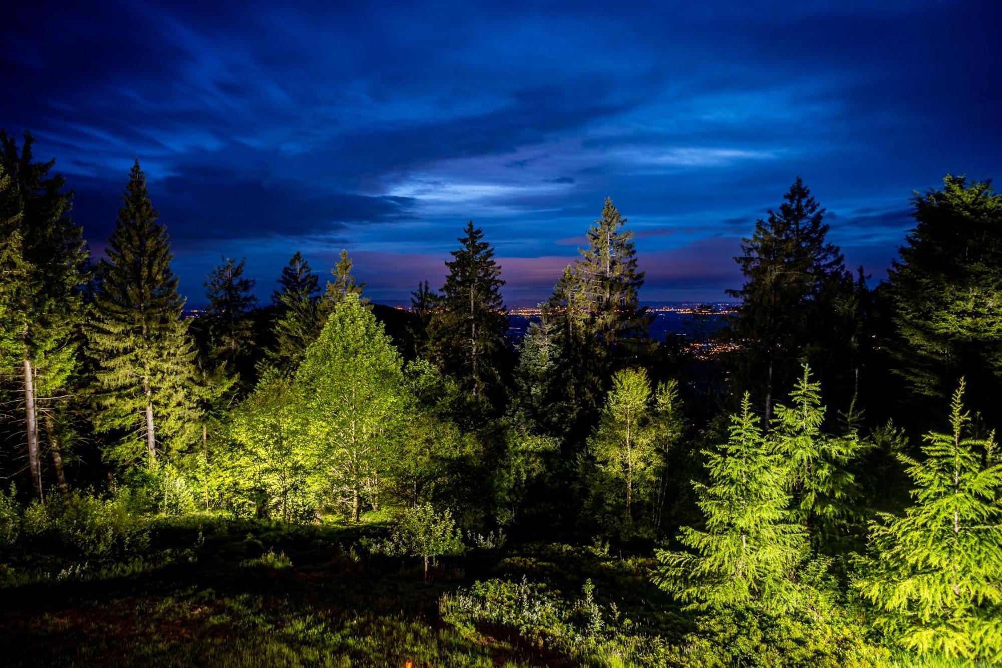 Sonnenhaeusle - Natur. Fernblick. Panorama-Sauna. Sasbachwalden Extérieur photo
