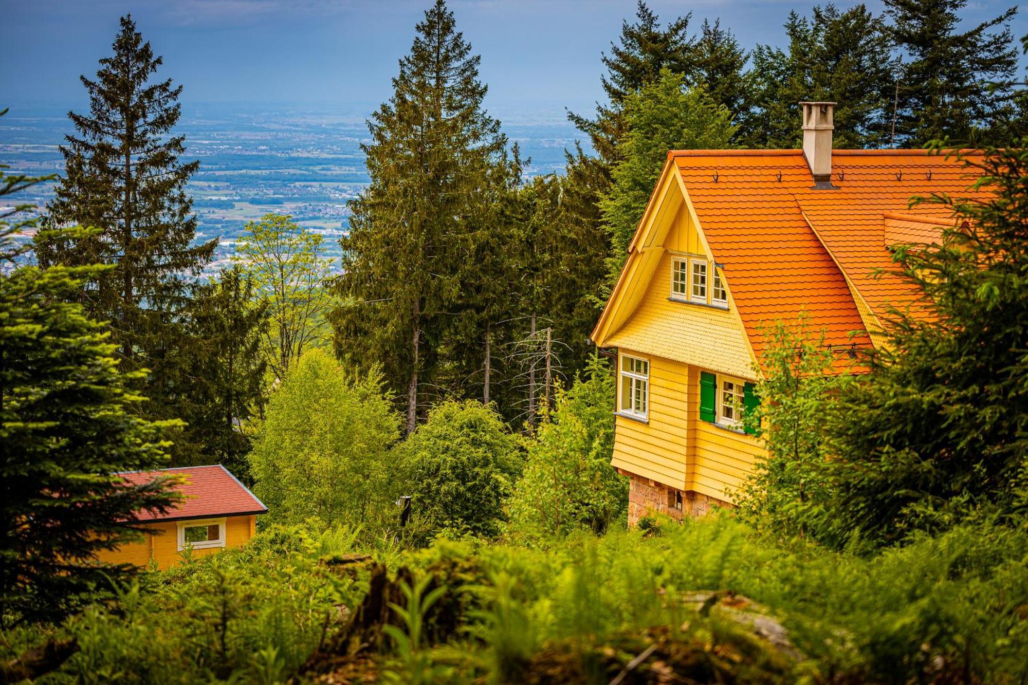 Sonnenhaeusle - Natur. Fernblick. Panorama-Sauna. Sasbachwalden Extérieur photo