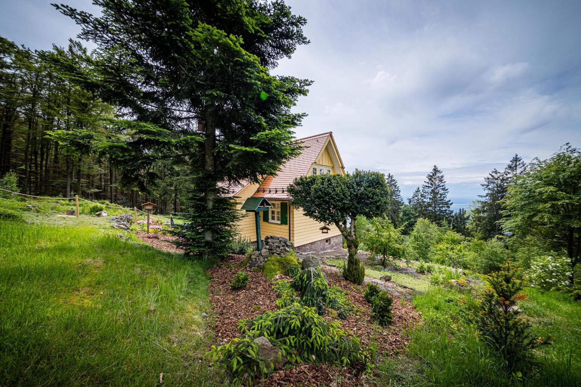 Sonnenhaeusle - Natur. Fernblick. Panorama-Sauna. Sasbachwalden Extérieur photo