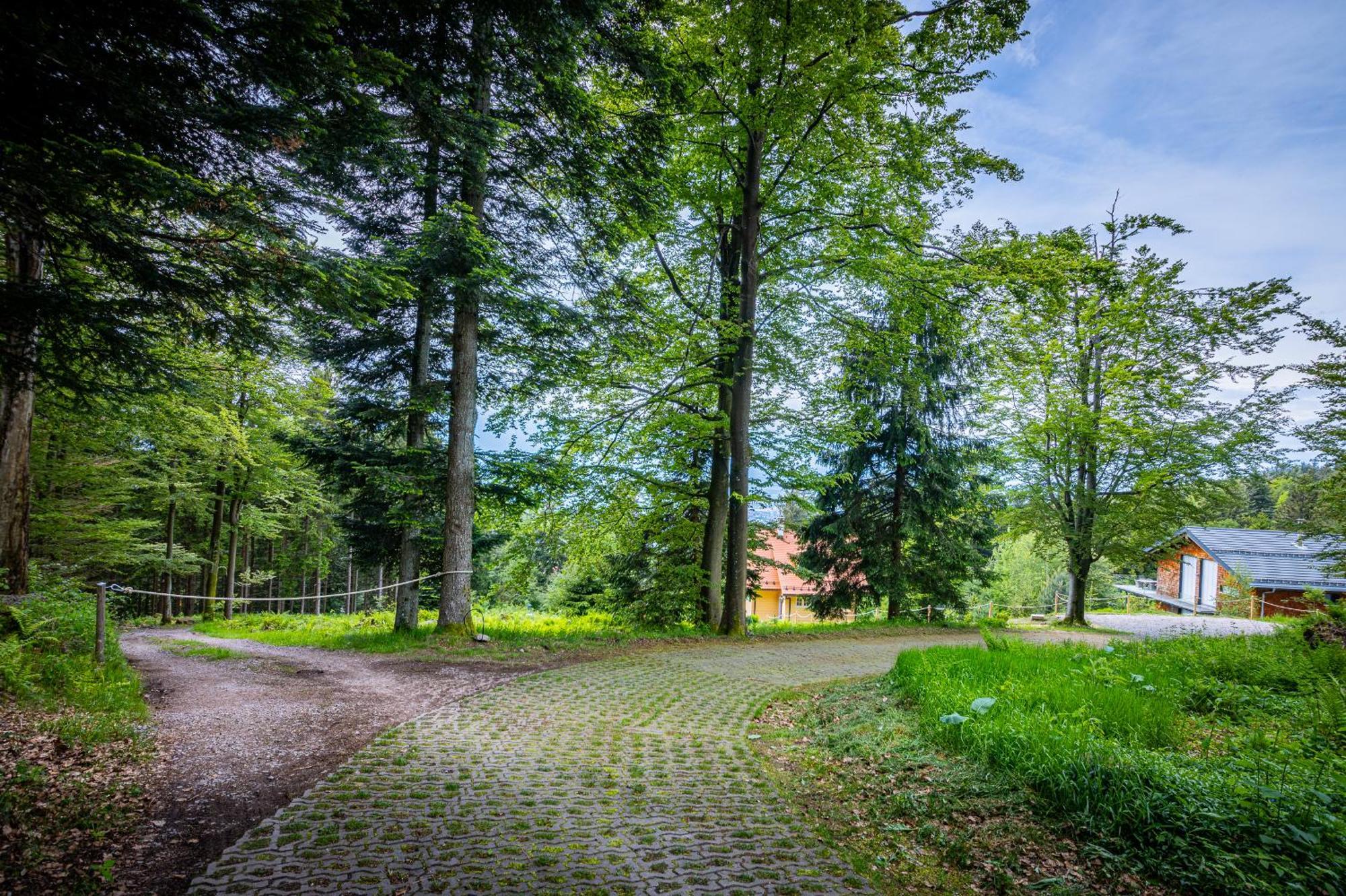 Sonnenhaeusle - Natur. Fernblick. Panorama-Sauna. Sasbachwalden Extérieur photo