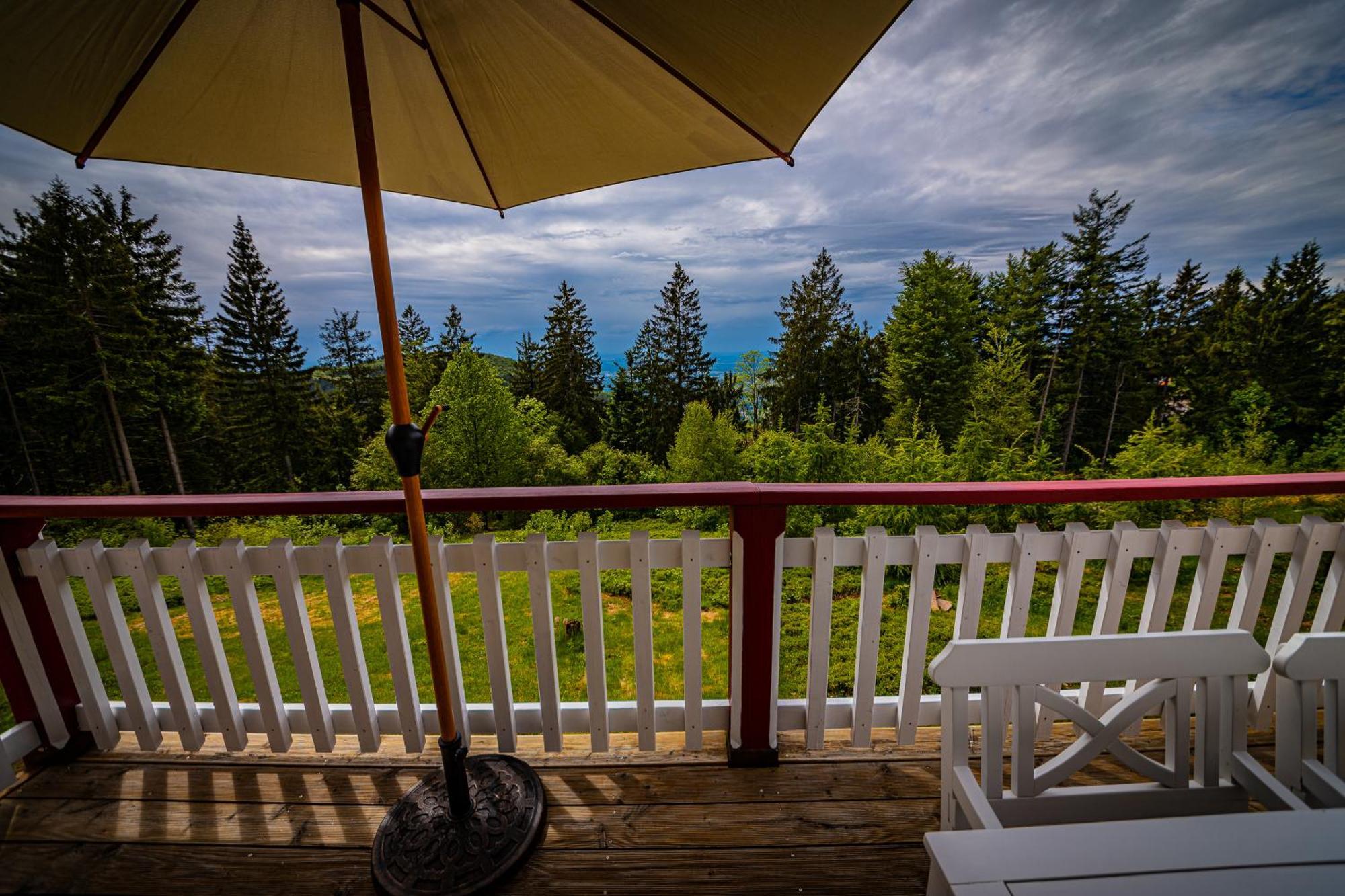 Sonnenhaeusle - Natur. Fernblick. Panorama-Sauna. Sasbachwalden Extérieur photo