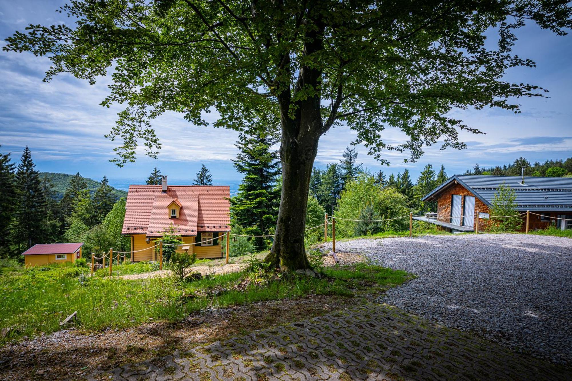Sonnenhaeusle - Natur. Fernblick. Panorama-Sauna. Sasbachwalden Extérieur photo